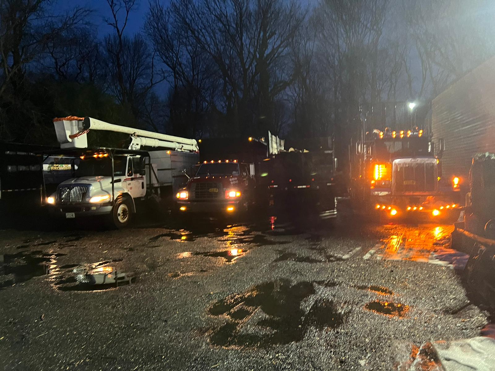 Big Brothers Tree Service Image